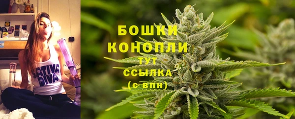 ГАЛЛЮЦИНОГЕННЫЕ ГРИБЫ Алексеевка